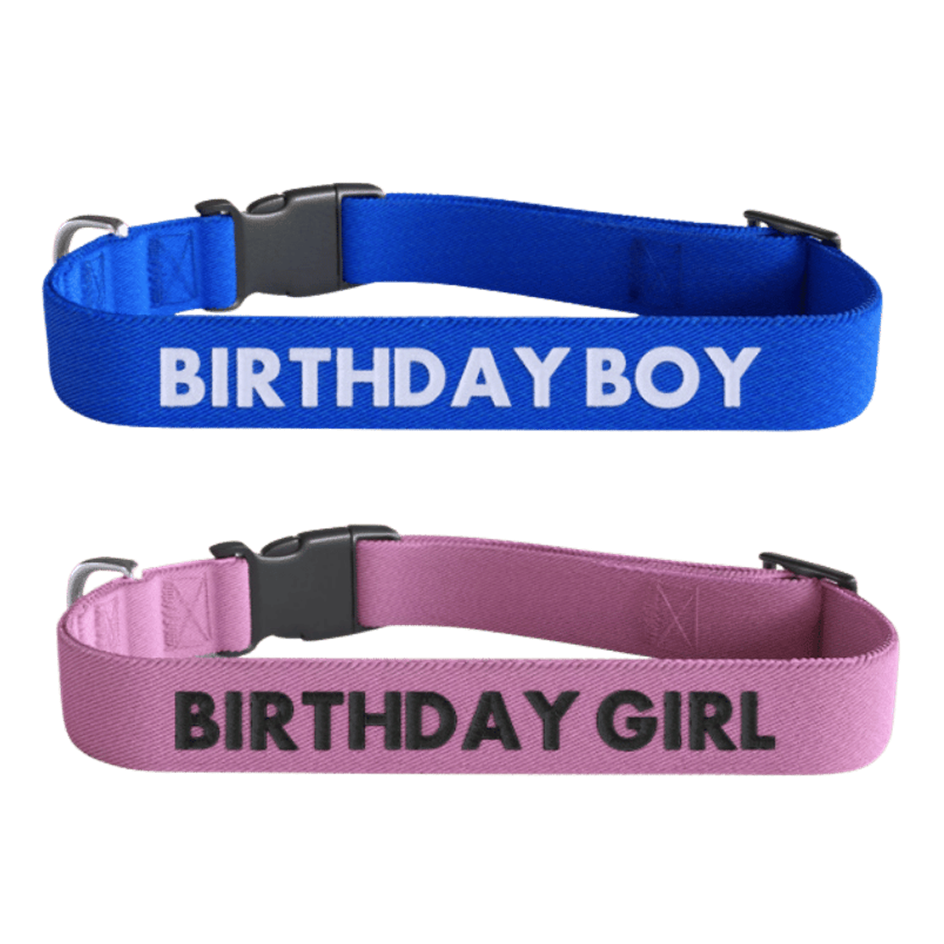 Embroidered blue collar with 'BIRTHDAY BOY' text and embroidered pink collar with 'BIRTHDAY GIRL' text, designed for dog celebrations. Visit mydogtags.net for personalised dog accessories.